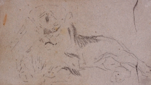 Étude de lionne (recto), Etude de lion (verso) Étude de lionne (recto), Etude de lion (verso)