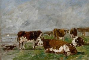 Vaches au pâturage