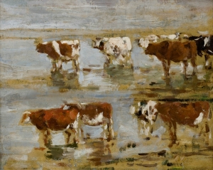 Etude de vaches sur deux rangs au bord de l'eau